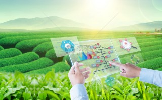 有关科技发展的图片 现代农耕图景：科技加持赋能 一人可种百亩